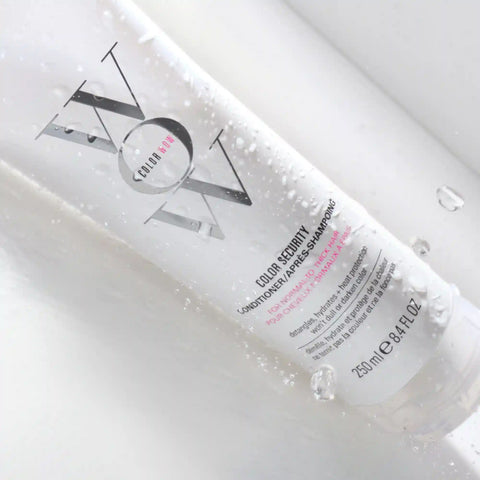 Color Security Conditioner (For Normal to Thick Hair)